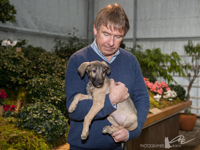 «Аптекарский огород» поддержал благотворительный проект помощи бездомным собакам