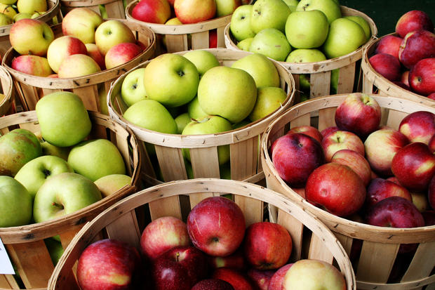 Дегустации яблок в «Аптекарском огороде»
